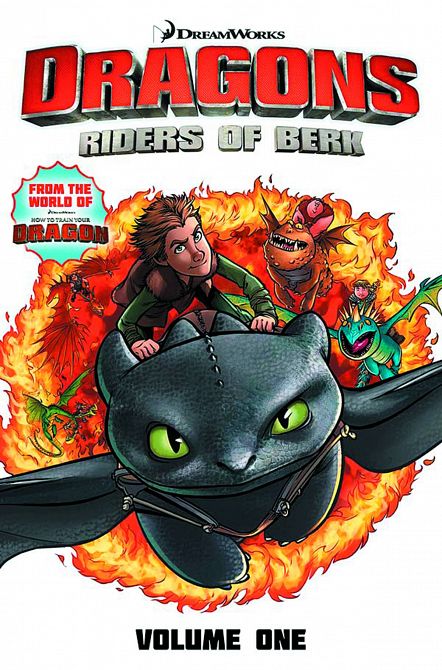 DRAGONS RIDERS OF BERK COLLECTION TP