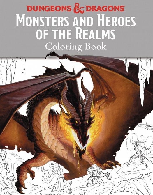 MONSTERS & HEROES OF REALMS D&D COLORING BOOK SC