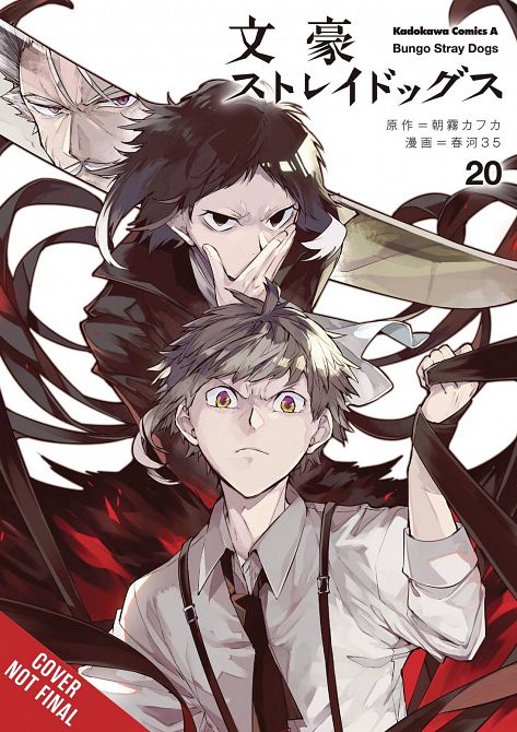 BUNGO STRAY DOGS GN VOL 20