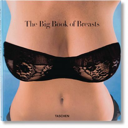 BIG BOOK OF BREASTS HC NEW PTG