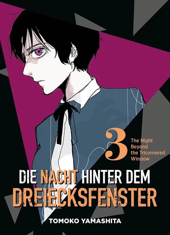 DIE NACHT HINTER DEM DREIECKSFENSTER #03 DIE NACHT HINTER DEM DREIECKSFENSTER #03