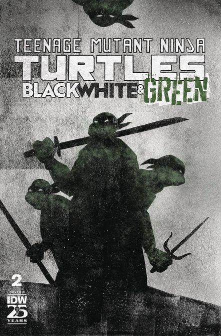 TMNT BLACK WHITE & GREEN #2