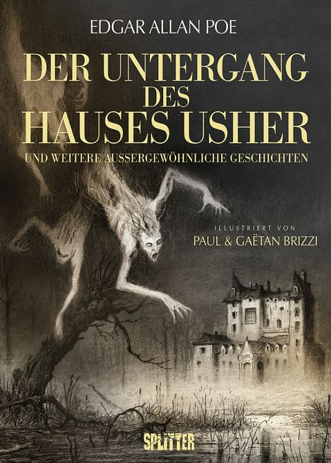 DER UNTERGANG DES HAUSES USHER (ILLUSTRIERTER ROMAN)