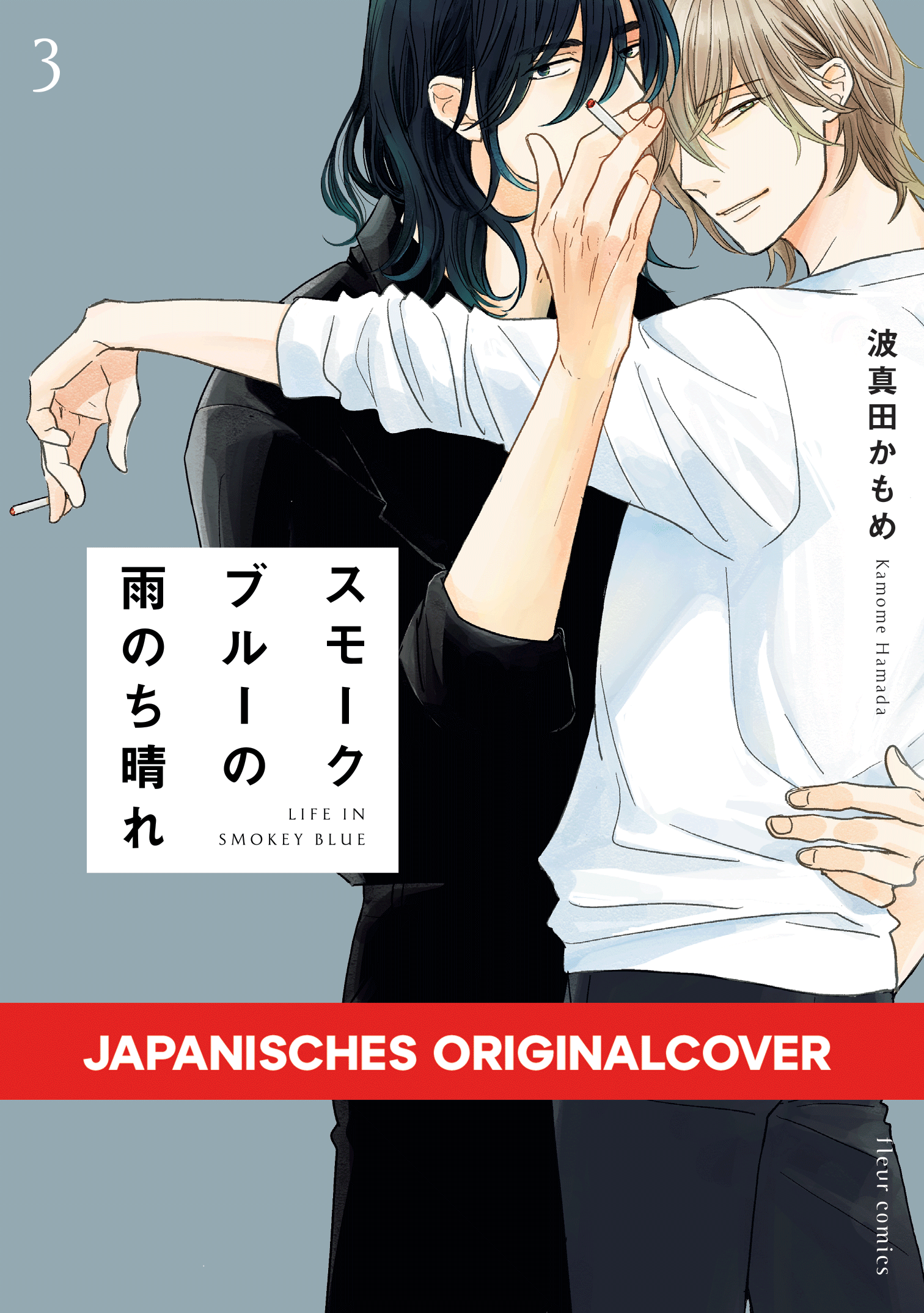 SONNENSCHEIN NACH RAUCHBLAUEM REGEN #03