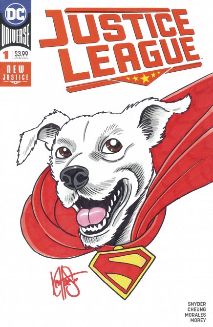 DF DC COMICS CVR ART HAESER SGN & REMARKED KRYPTO SKETCH