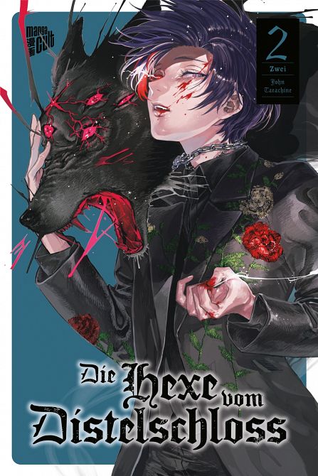 DIE HEXE VOM DISTELSCHLOSS #2