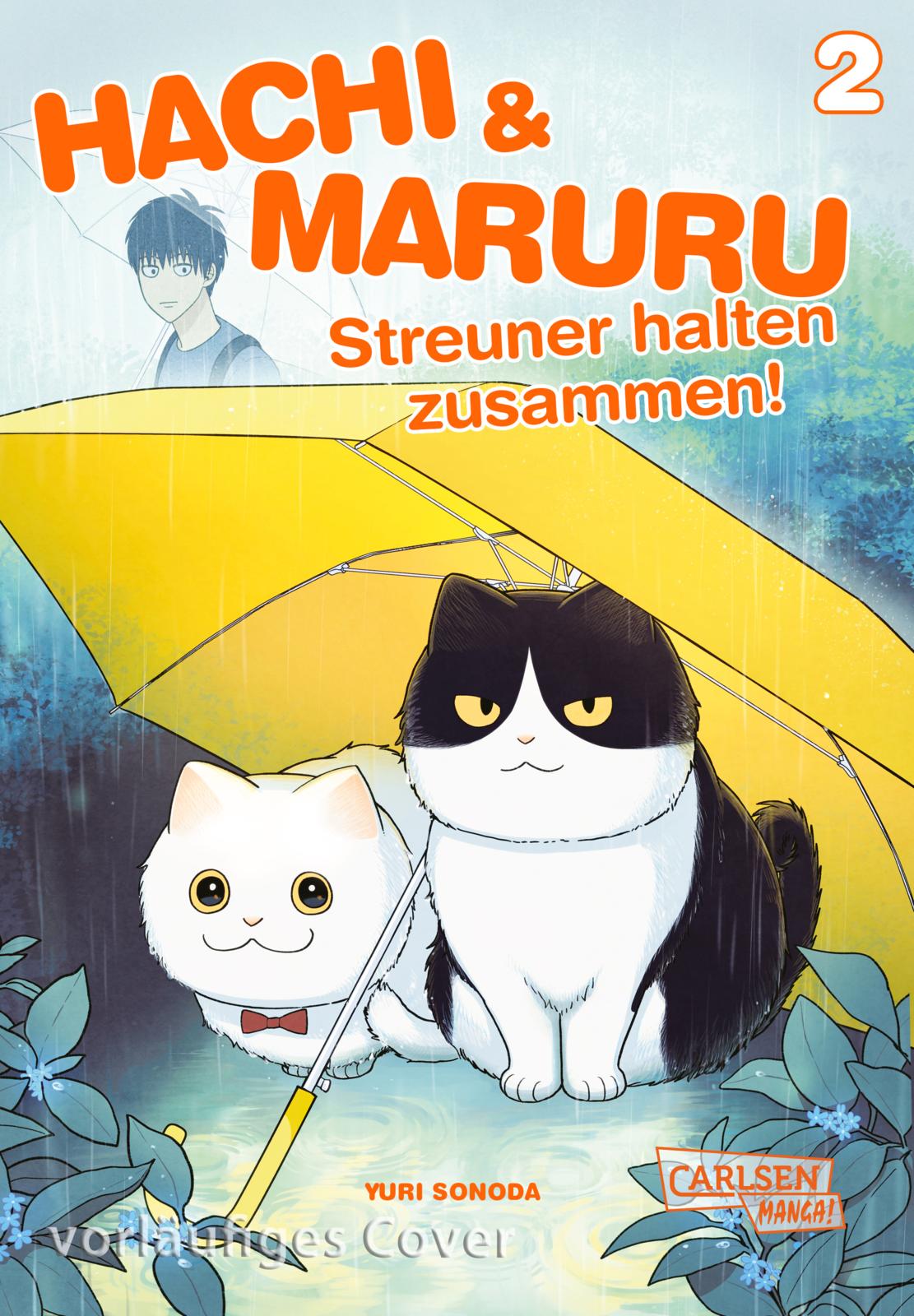 HACHI & MARURU – STREUNER HALTEN ZUSAMMEN! #02