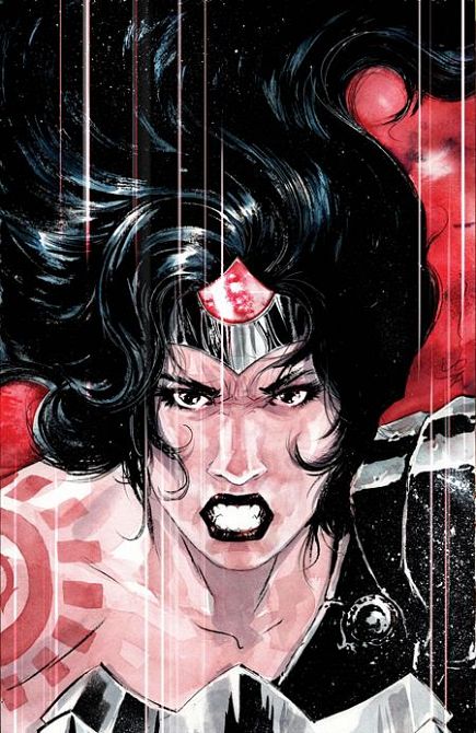 ABSOLUTE WONDER WOMAN #14 ABSOLUTE WONDER WOMAN #14
