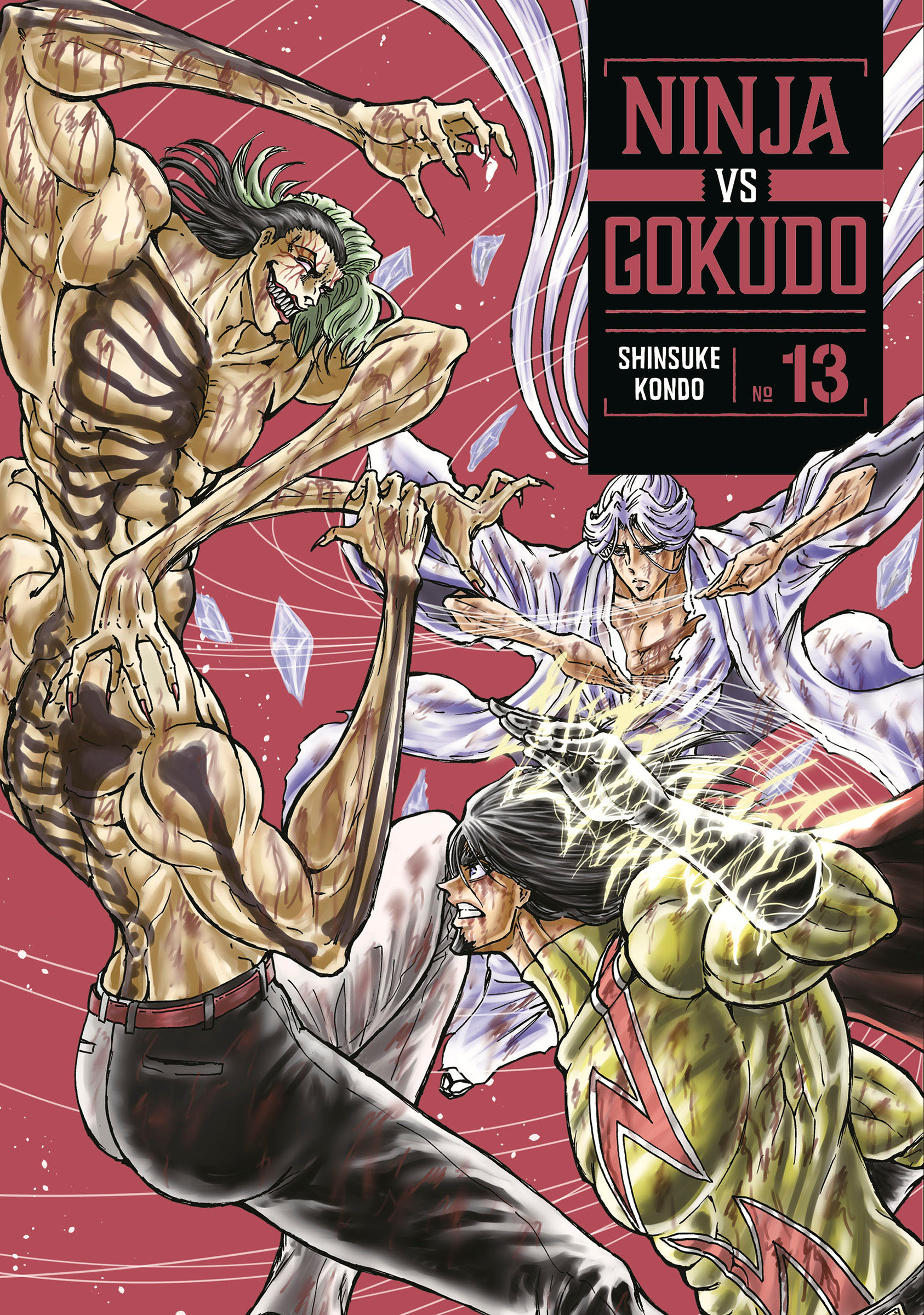 NINJA VS. GOKUDO 13 TP