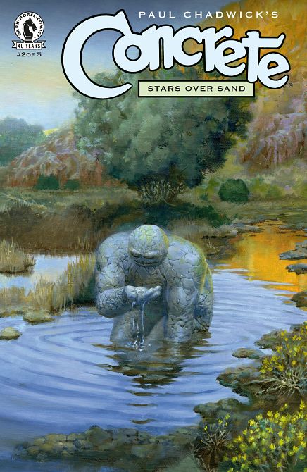 CONCRETE STARS OVER SAND #02