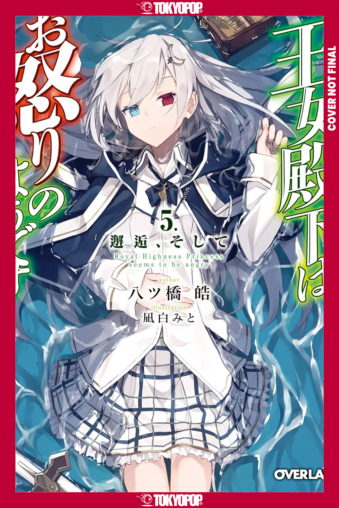 HER ROYAL HIGHNESS SEEMS TO BE ANGRY, VOLUME 05 (LIGHT NOVEL) TP