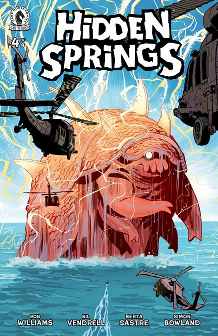 HIDDEN SPRINGS #04