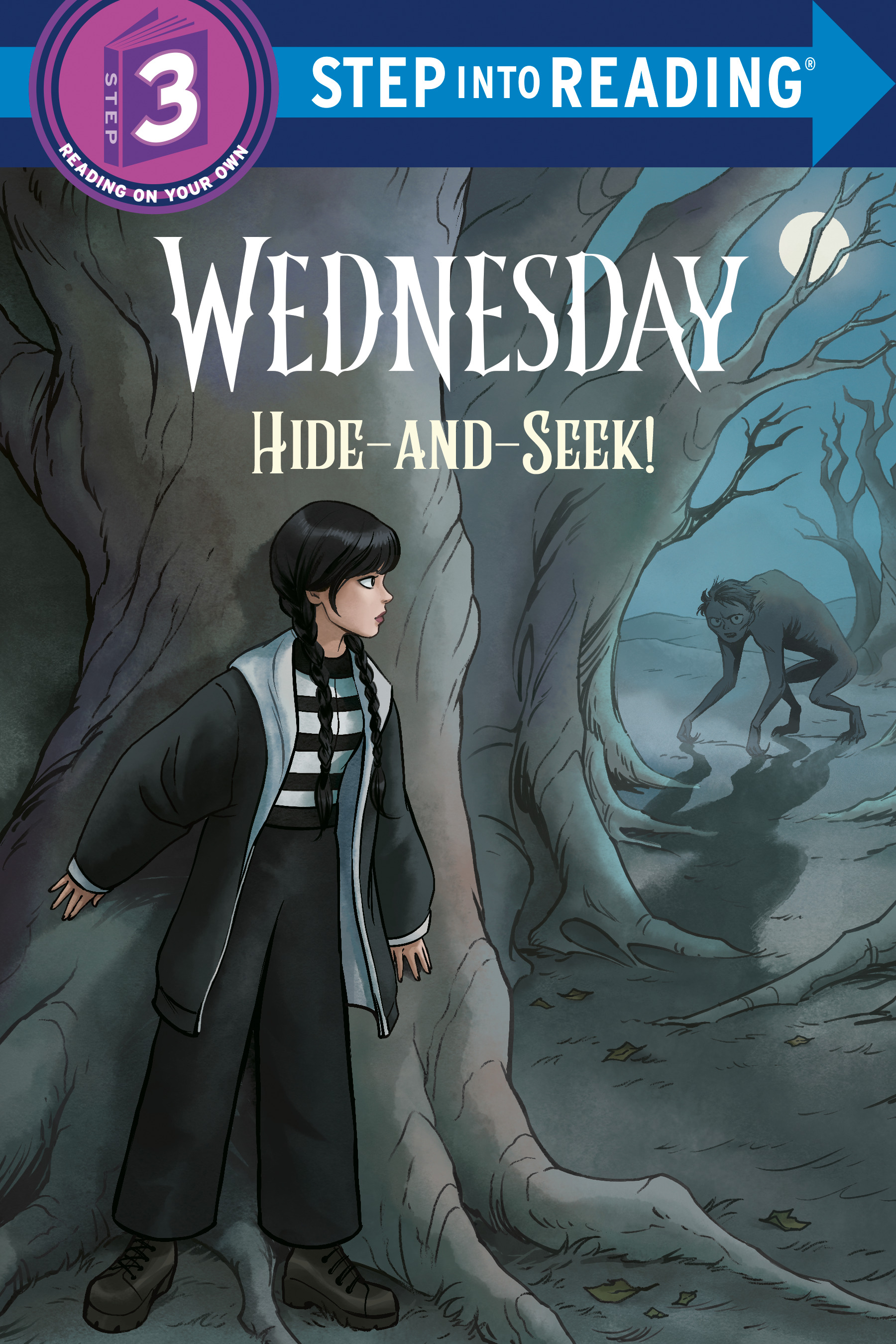 HIDE AND SEEK! (WEDNESDAY) TP