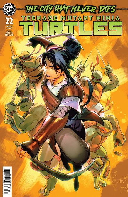 TEENAGE MUTANT NINJA TURTLES #22
